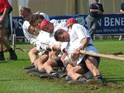 tug-of-war-web