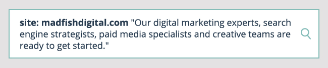 our digital marketing experts, search engine strategists, paid media specialists and creative teams are ready to get started.