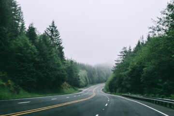 road-in-the-forest