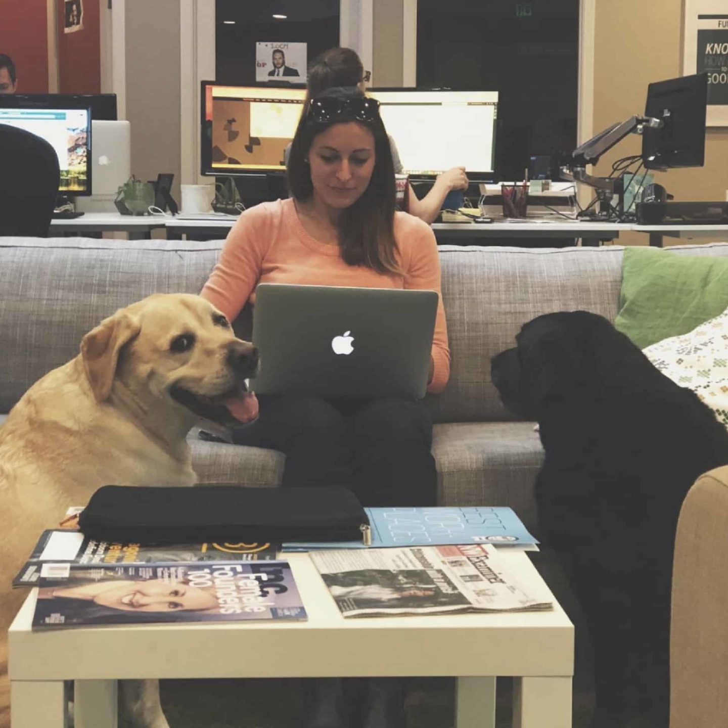 Mad fish employee sitting on couch with two dogs.