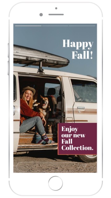 person and a dog in a van