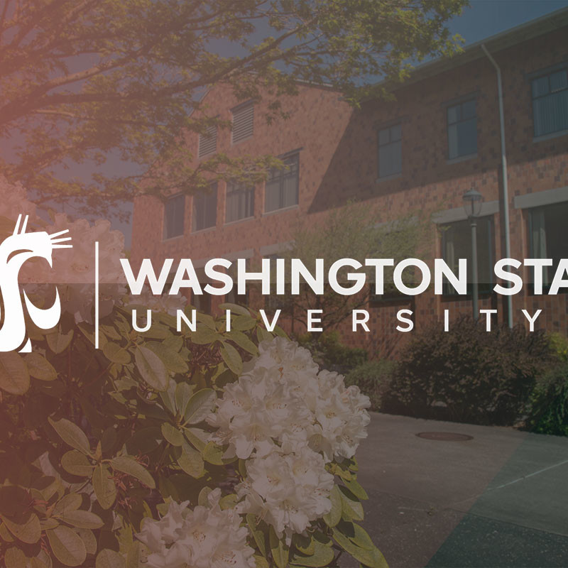 WSUV logo header