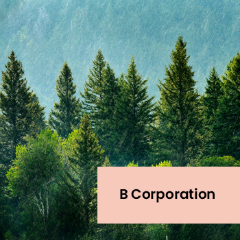 Pine trees against blue background with B Corporation text overlay.