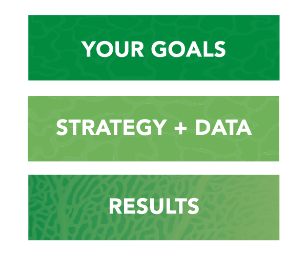 Mad Fish three step process to achieving results.