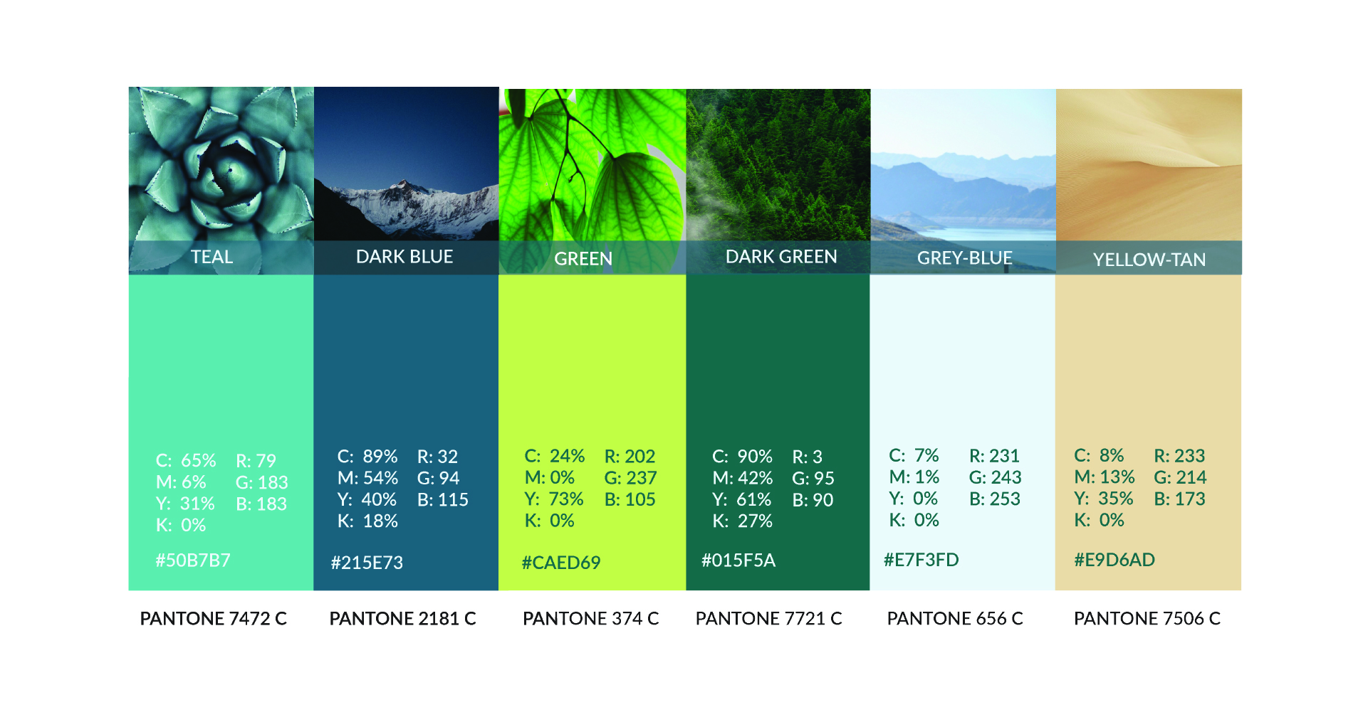 OnePeak Medical Pantone color palette including teal, dark blue, green, dark green, and more.
