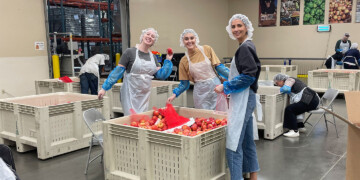 The Mad Fish Digital team volunteering in Portland, Oregon.