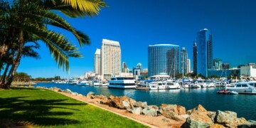 San Diego waterfront marina with downtown skyline and palm trees on a sunny day.